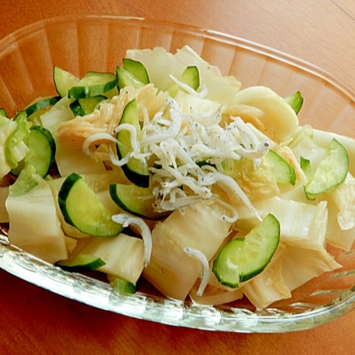 5分!臭みなしでイイ味❤白菜漬け利用のサラダ風♪